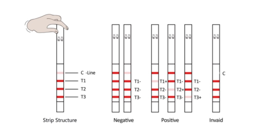 Kit antibiotico en leche-BETA-LACTÁMICOS, TETRACICLINA Y SULFONAMIDA 